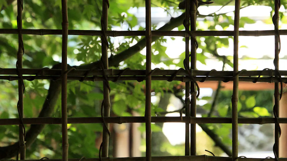 Sakahijiri Gyokushoen (formerly Gyokushoen Arai)