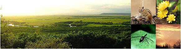 คุชิโระชิทสึเก็น