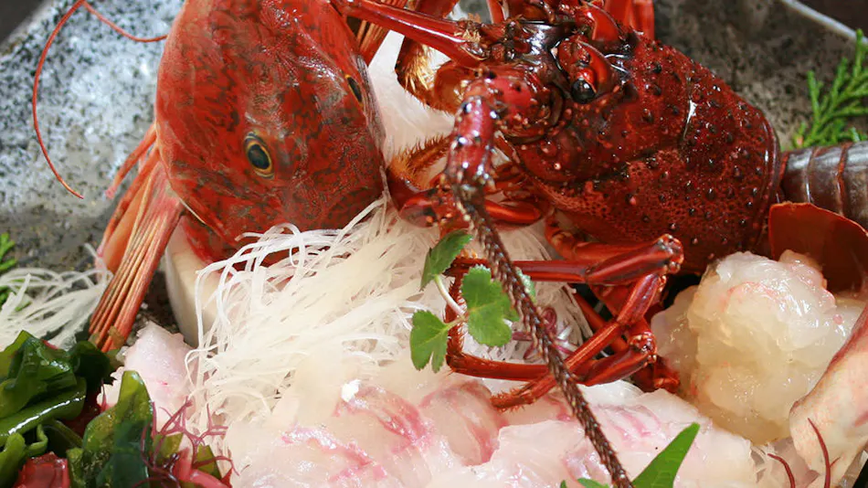 Soshin no Yado Oishiya