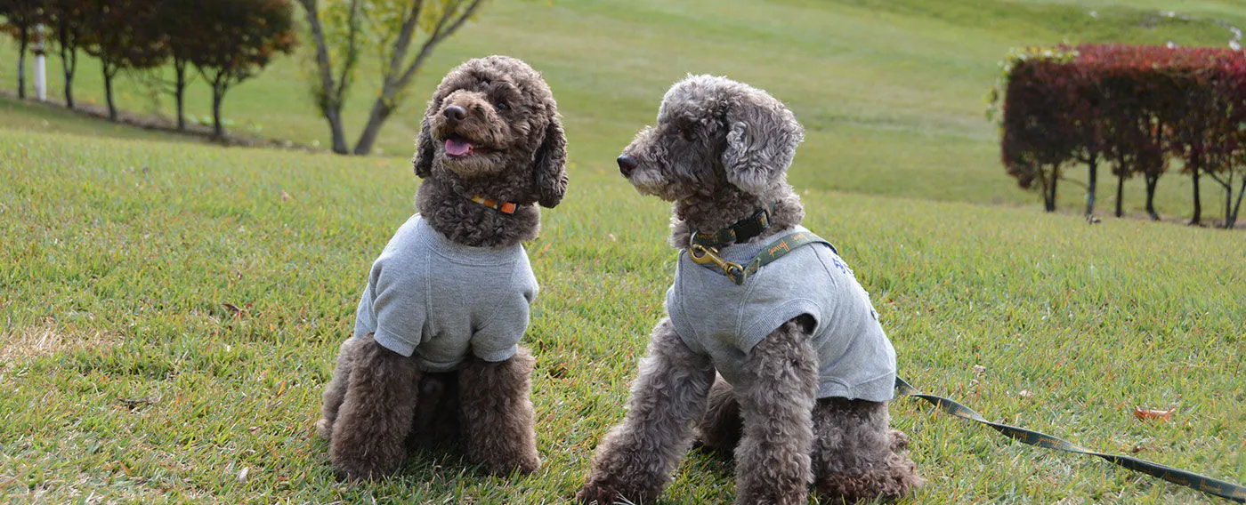ワンちゃん・ネコちゃんとお出かけ!専用ルーム