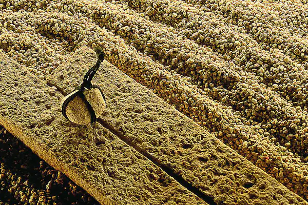 ภาพภายในอาคาร