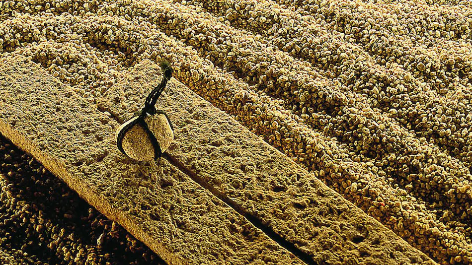 Gero Onsen Koyoi Tenku ni Asobu Shogetsu