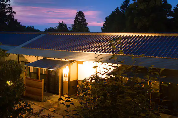 รูปลักษณ์ภายนอก