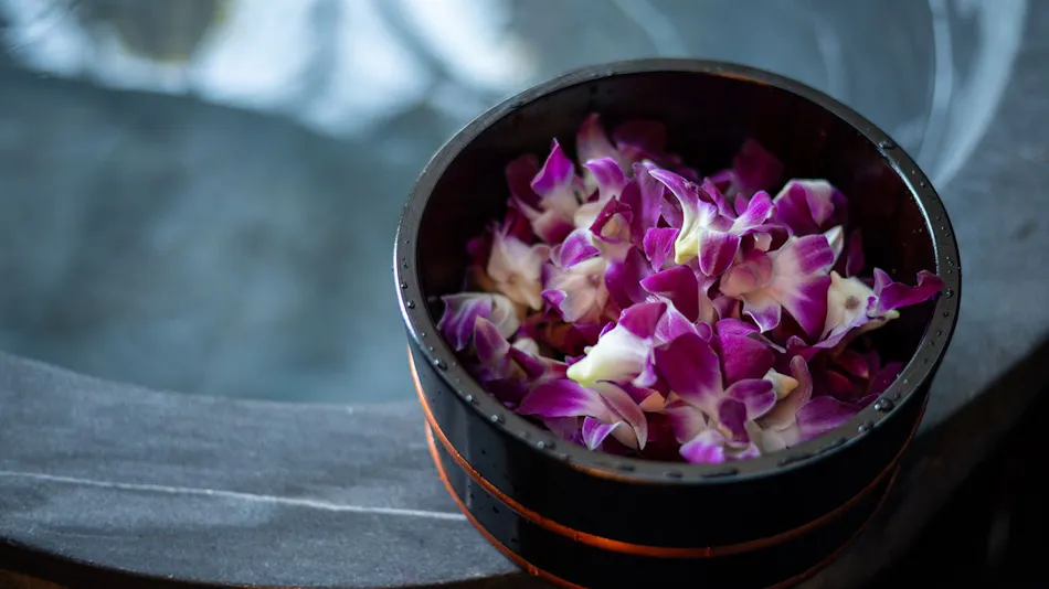 Exquisite Moments Weave: Detached Inn - Valley of the Wind Hermitage - Amanomaru Annex