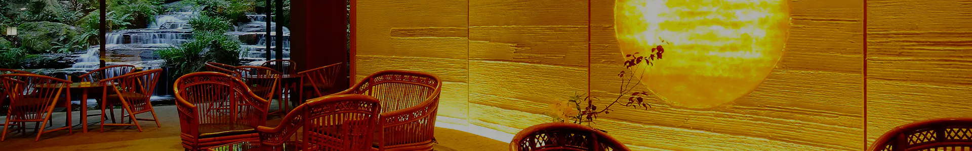 割引クーポン配布中