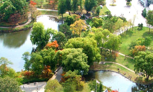 中島公園駅周辺の高層階のお部屋 おすすめホテル 旅館 宿泊予約は 一休 Com