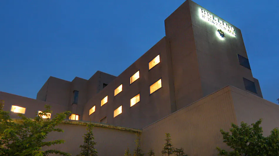 Bellino Hotel Ichinoseki