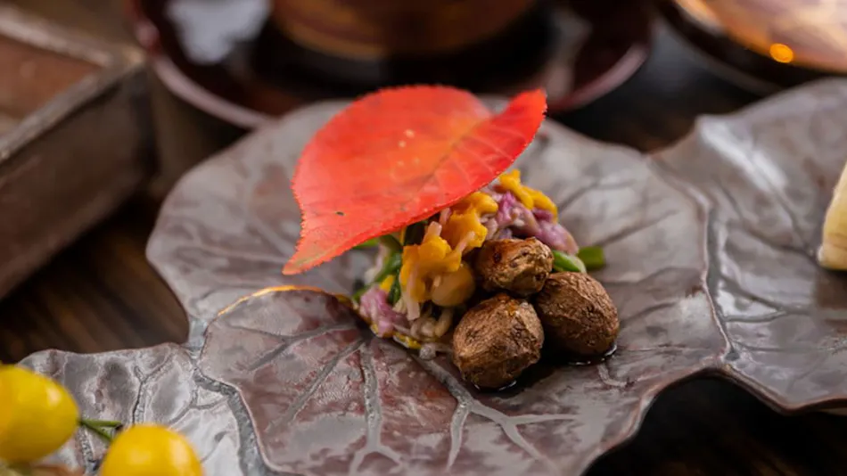 Mizuno Sato Marukyu Ryokan