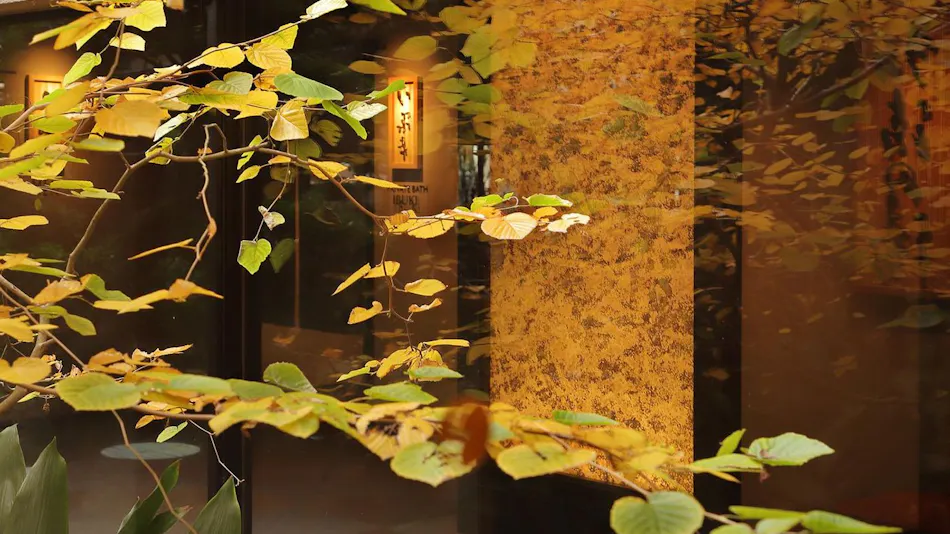 Mizuno Sato Marukyu Ryokan