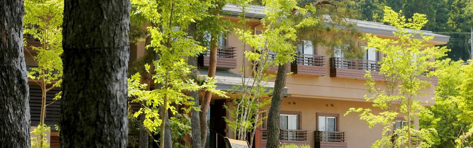 湯の沢温泉 時の宿すみれ