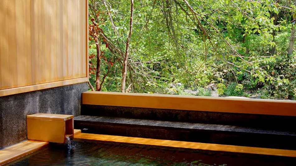 Yunosawa Onsen Toki no Yado Sumire