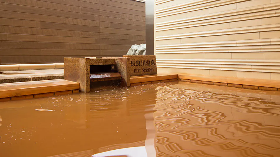Nagaragawa Onsen Gifu Grand Hotel