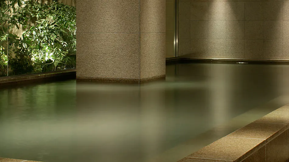 Hyatt Regency Hakone Resort & Spa