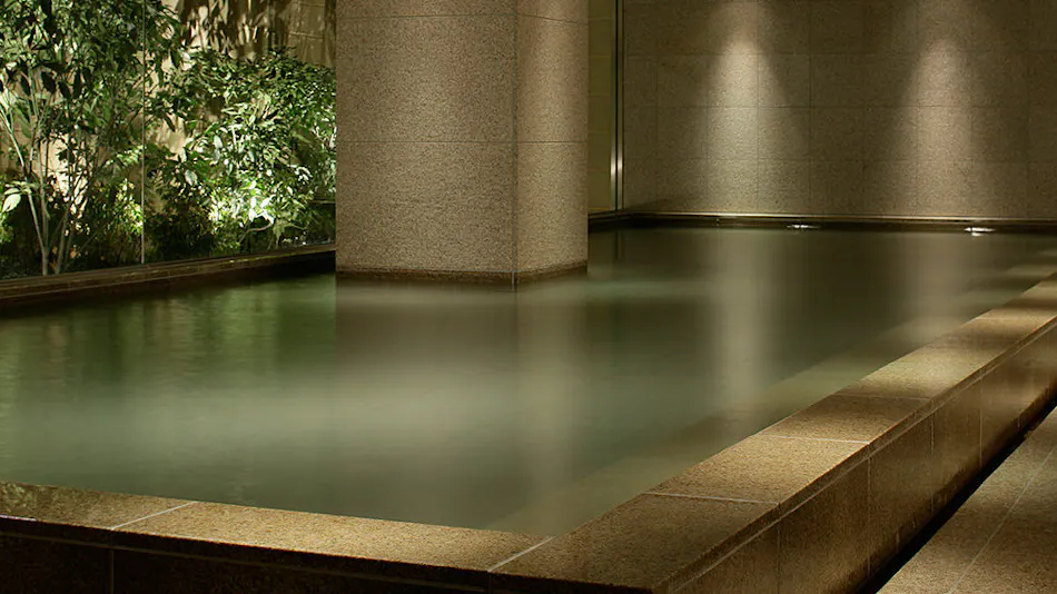 Hyatt Regency Hakone Resort & Spa