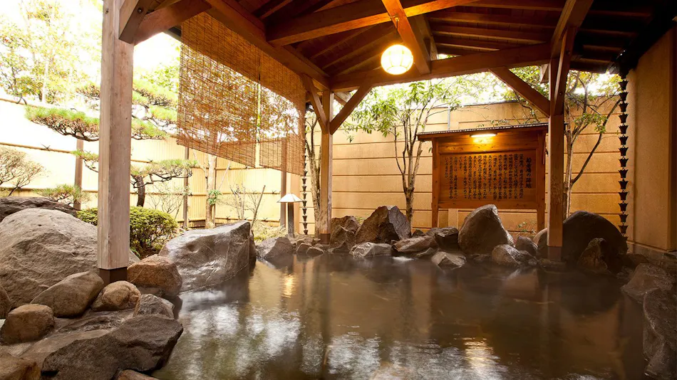 Yamaga Onsen Seiryuso