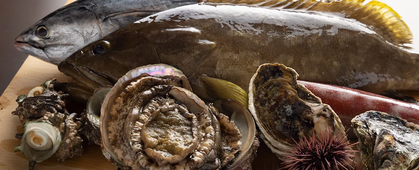 日本屈指の大海=玄界灘から贈る旬