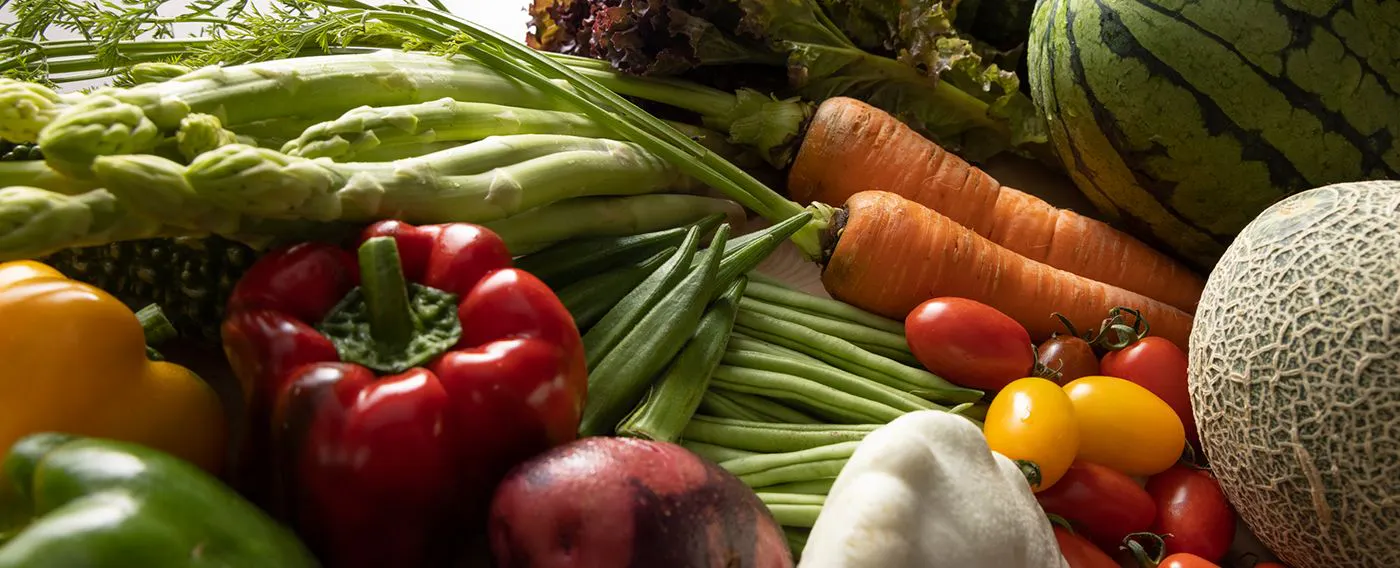 豊かな自然に囲まれ「自給自足できる島=壱岐島」