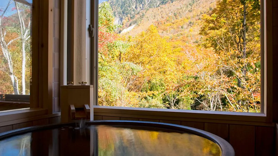 Takumi no Yado Miyama Sakura-an (Kyoritsu Resort)