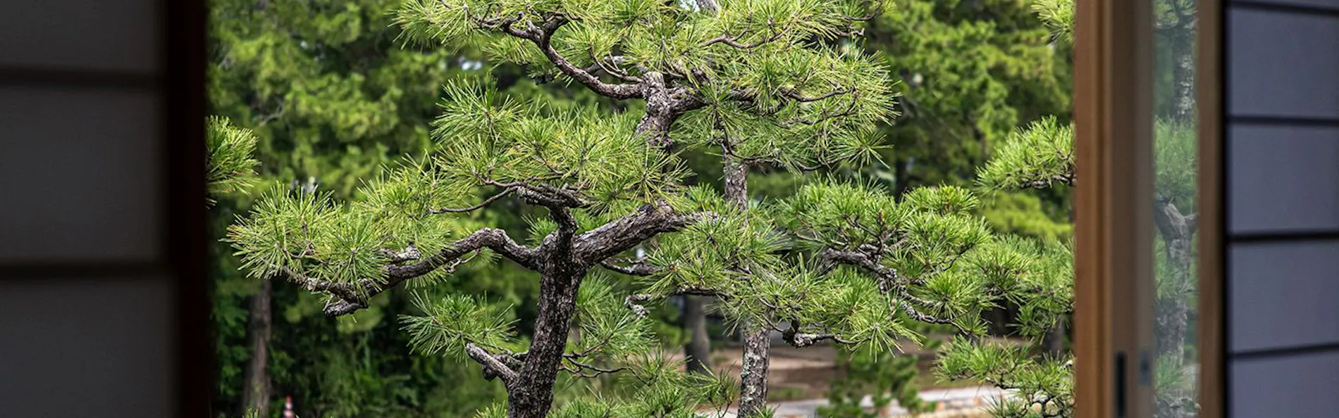 天橋立 和のリゾート 文珠荘