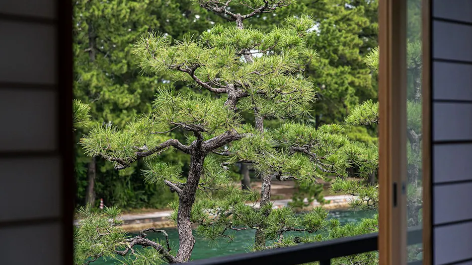Amanohashidate Wa no Resort Monjusou