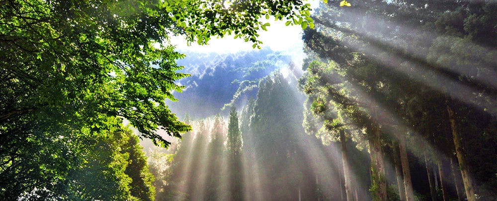 高山村　松川渓谷
