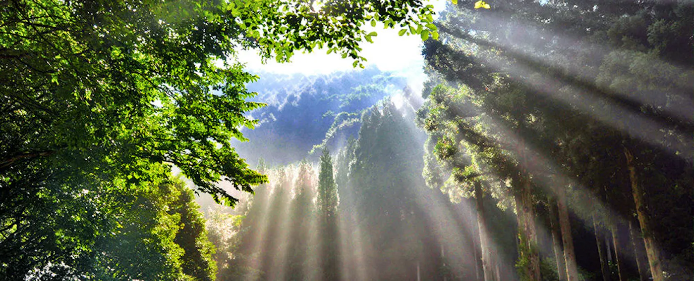 高山村 松川渓谷