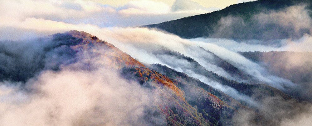 高山村　山田牧場雲海