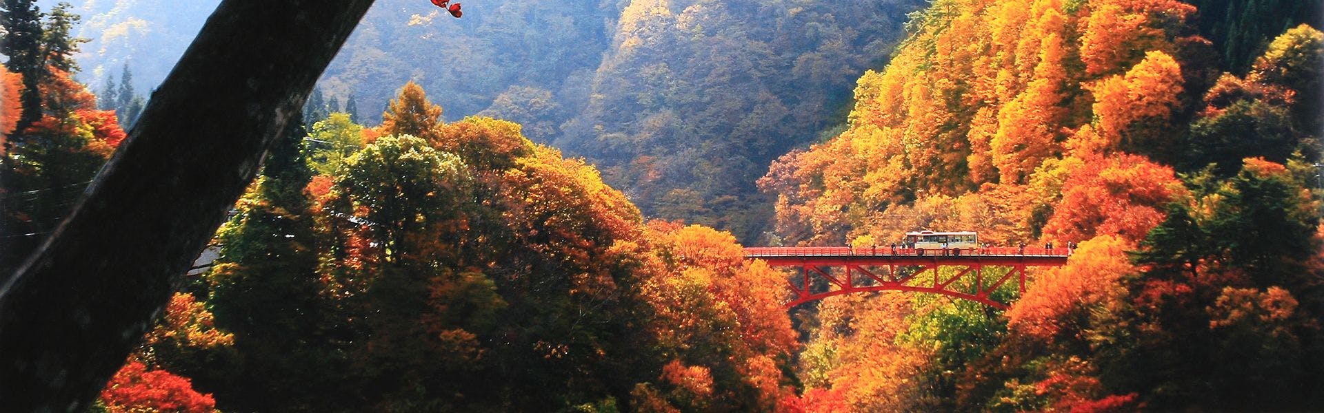 FUJIISO