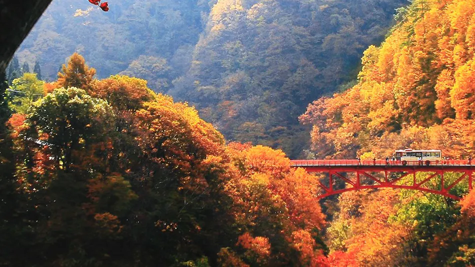 FUJIISO