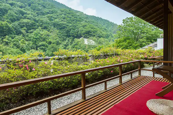 ทิวทัศน์