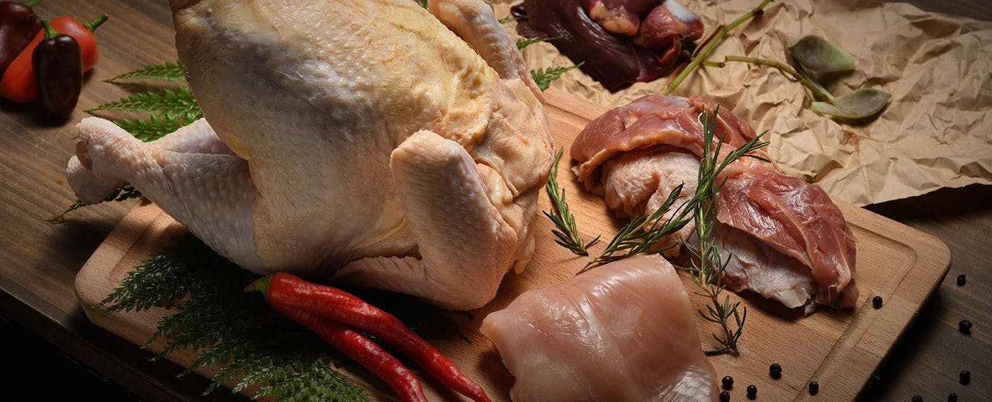 幻の地鶏「銀雪」