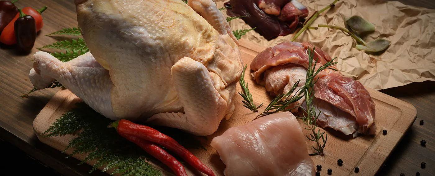 幻の地鶏「銀雪」