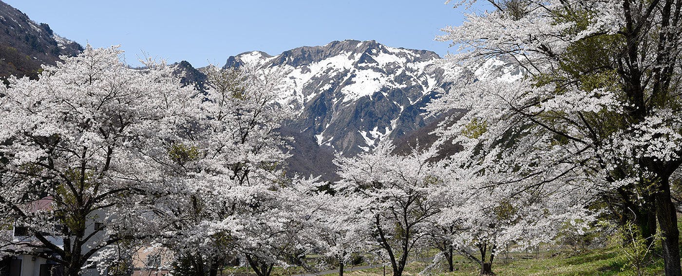 谷川温泉 やど莞山-KANZAN-