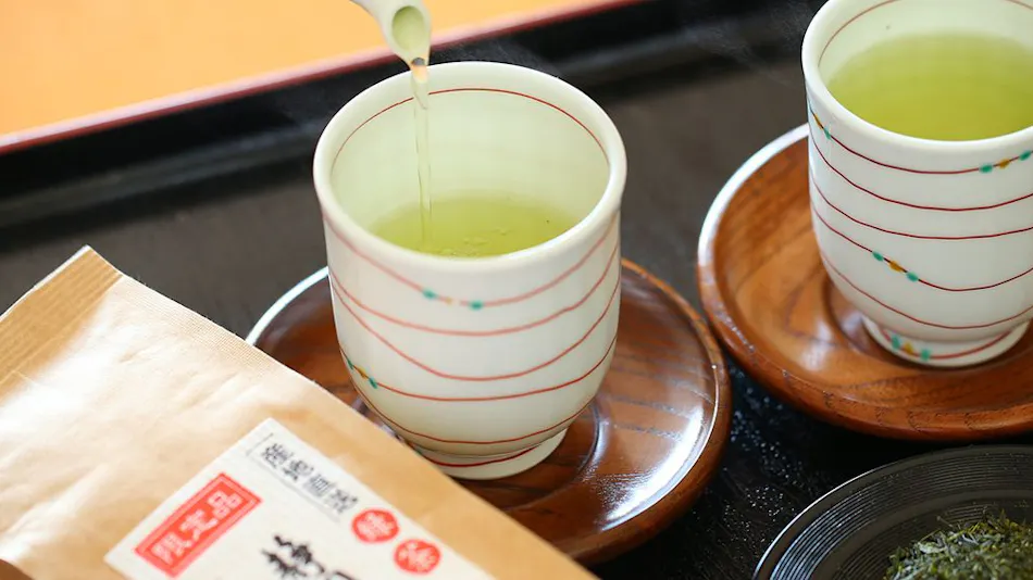 Hotel Harvest Hamanako (Tokyu Resorts & Stay)