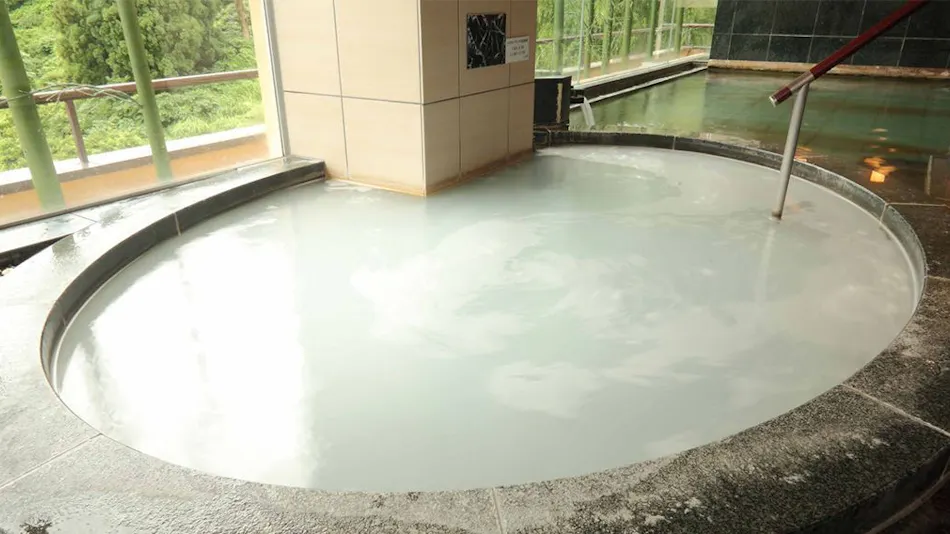 Hotel Futaba: The Inn of Echigo Woven by Water