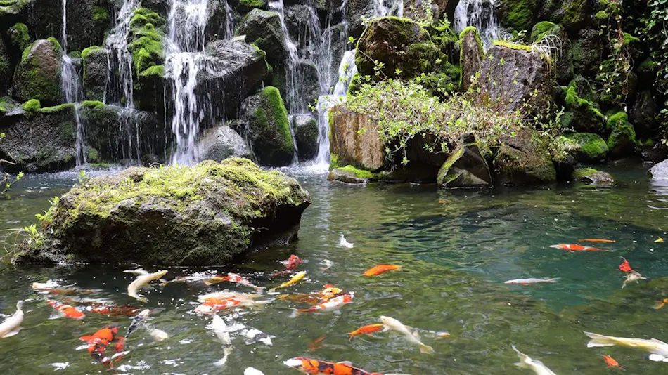 Hotel Futaba: The Inn of Echigo Woven by Water