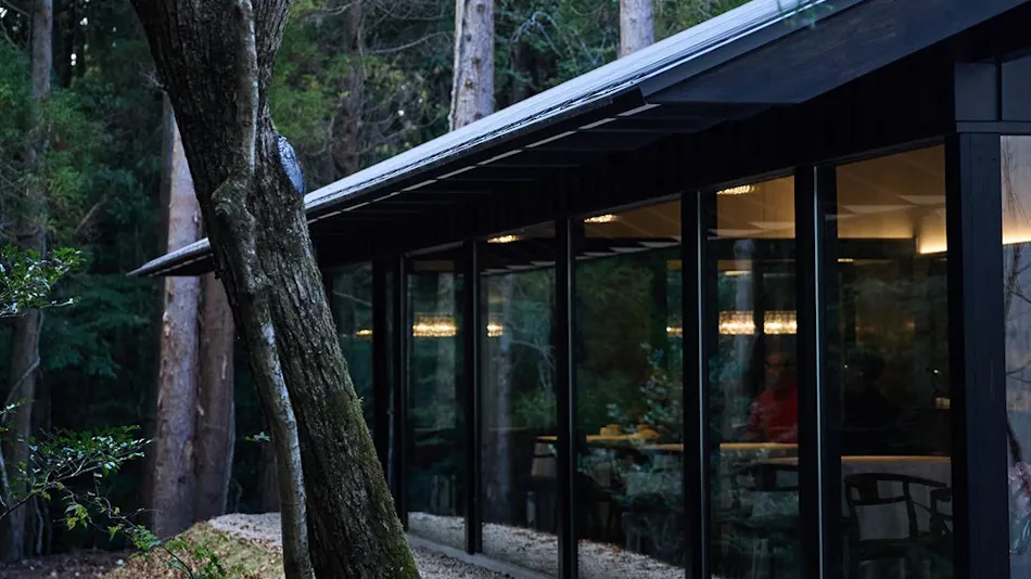 Forest Inn BORN