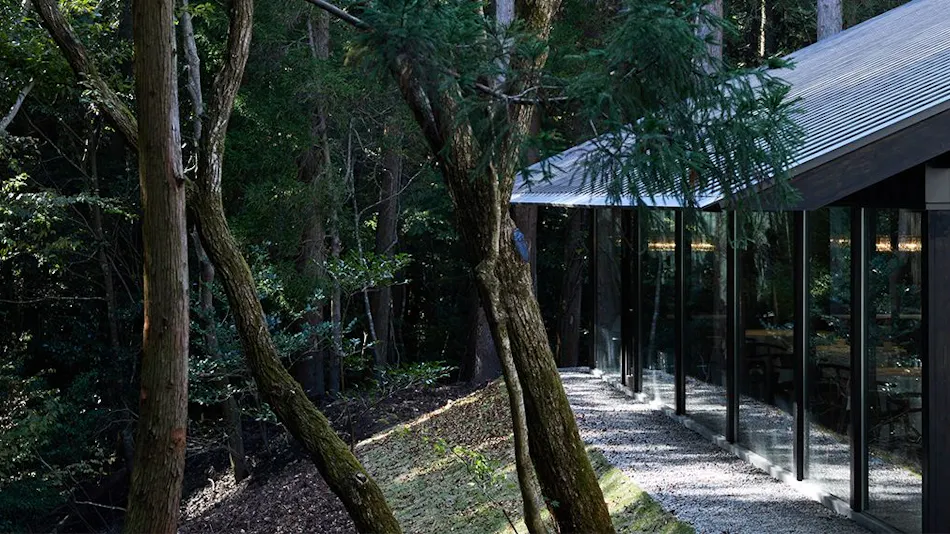 Forest Inn BORN