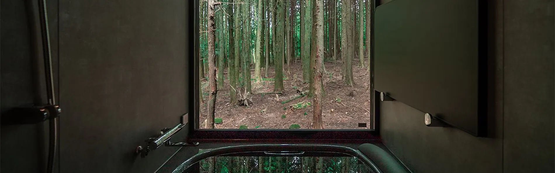 forest inn BORN