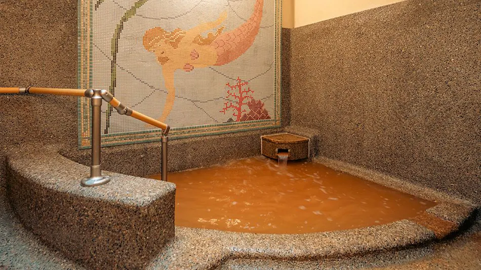 Hotel Hanakoyado
