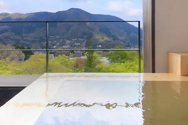 รูปลักษณ์ภายนอก