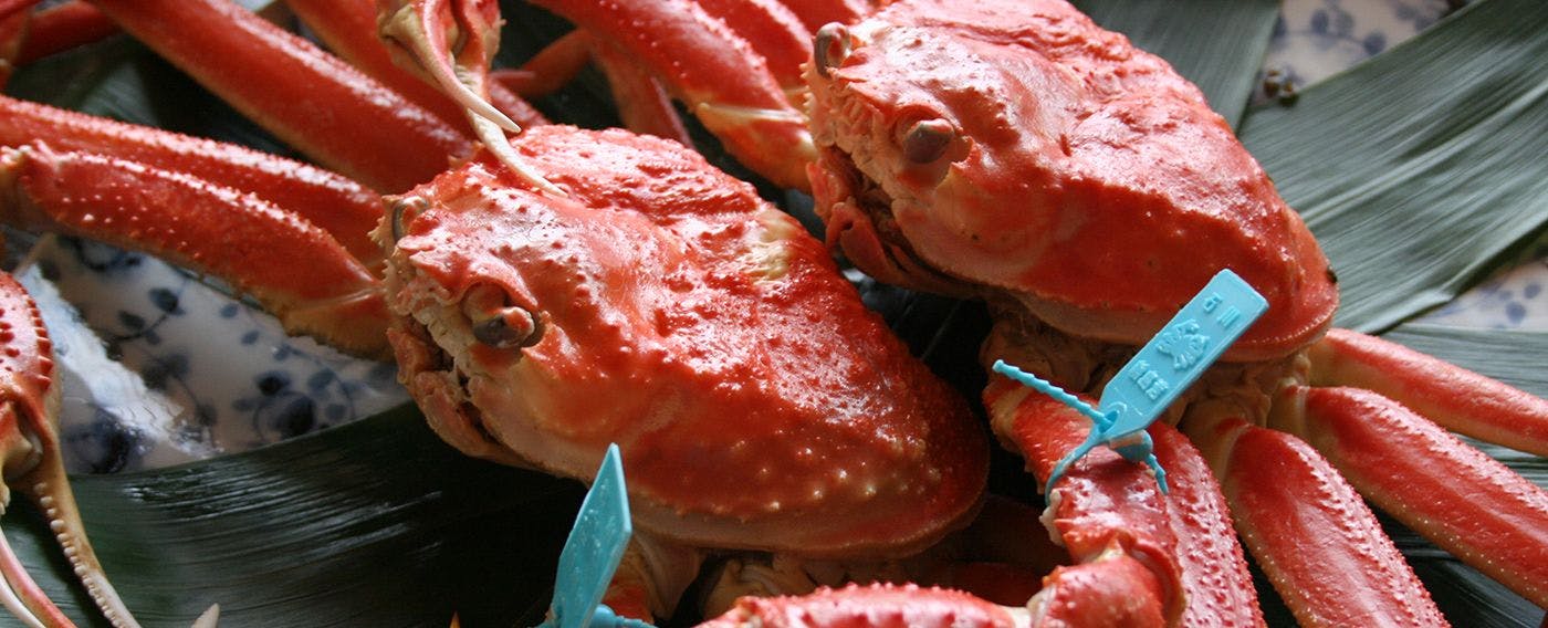 ตัวอย่างอาหาร