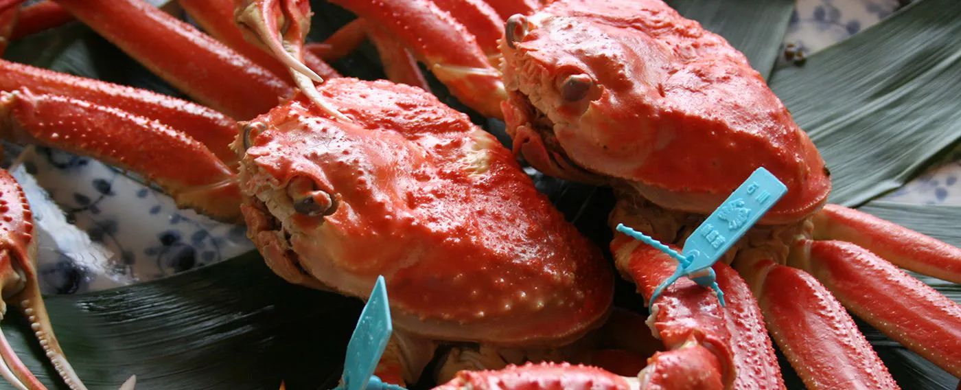 ตัวอย่างอาหาร