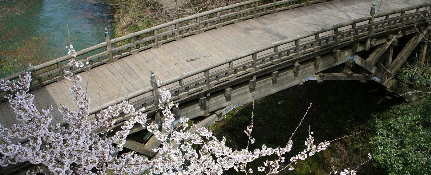 สะพานจิ้งหรีดตามฤดูกาล