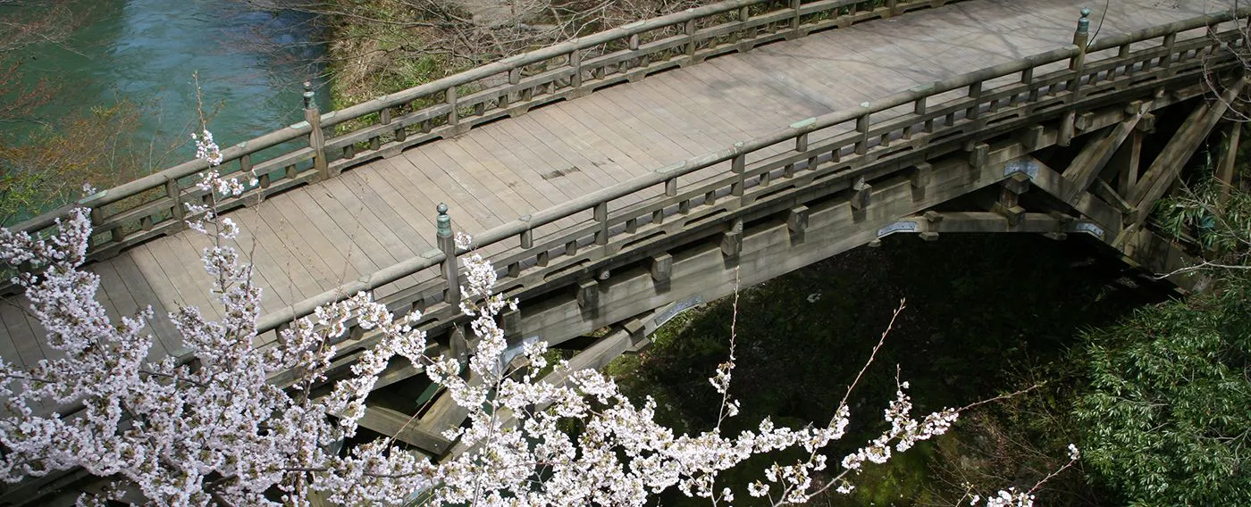 สะพานจิ้งหรีดตามฤดูกาล