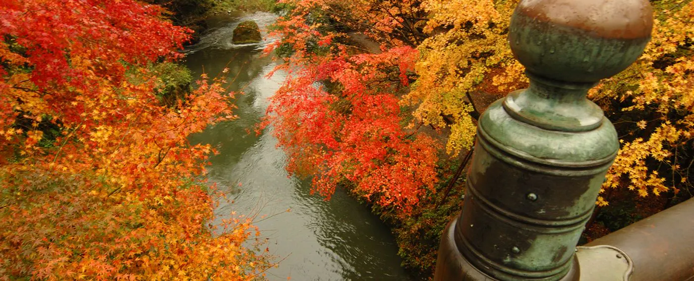 สะพานจิ้งหรีดตามฤดูกาล