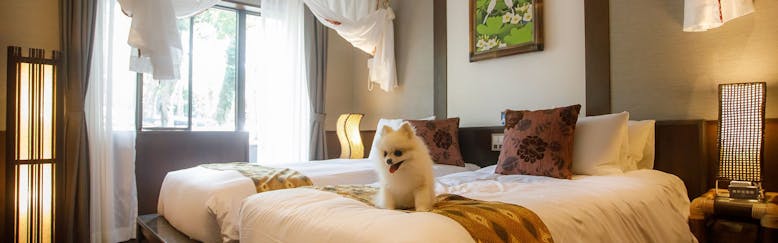 静岡県のペットokの おすすめホテル 旅館 選 宿泊予約は 一休 Com 静岡県のペットokの おすすめホテル 旅館 選 宿泊予約は 一休 Com