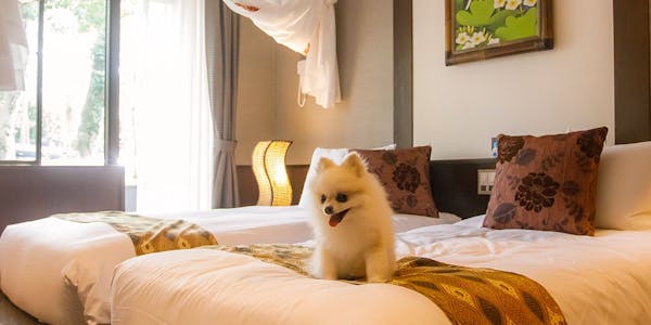 22年最新 ウブドの森 伊豆高原を見た人におすすめの温泉自慢の宿ランキング 一休 Com 22年最新 ウブドの森 伊豆高原を見た人におすすめの温泉自慢の宿ランキング 一休 Com