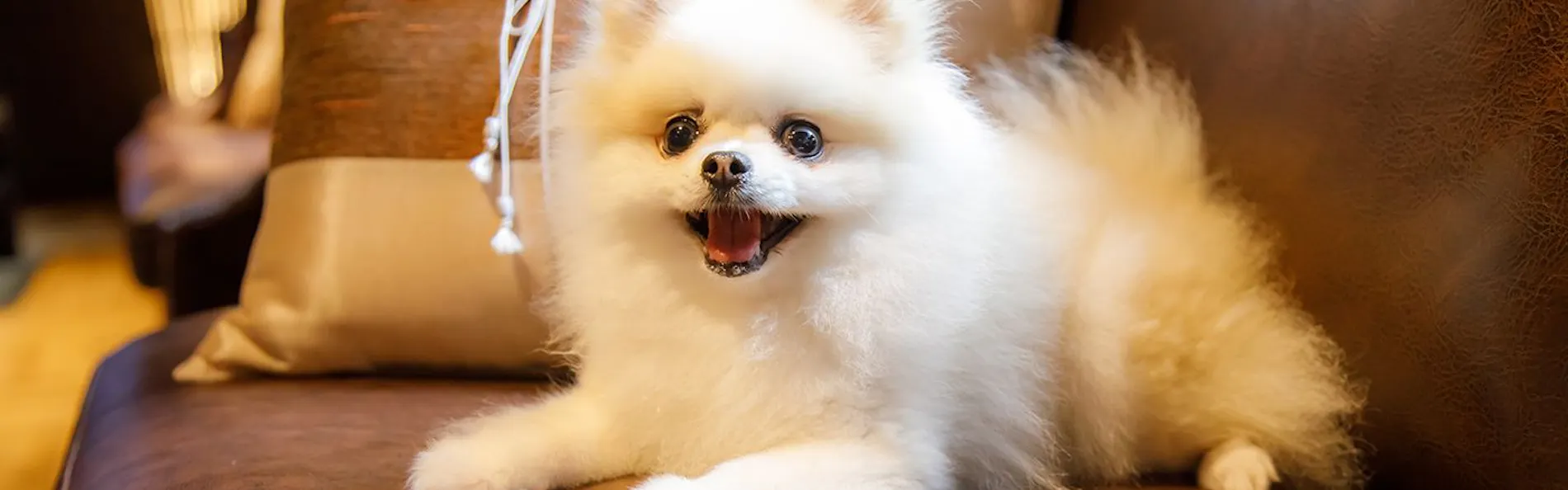 ウブドの森 伊豆高原