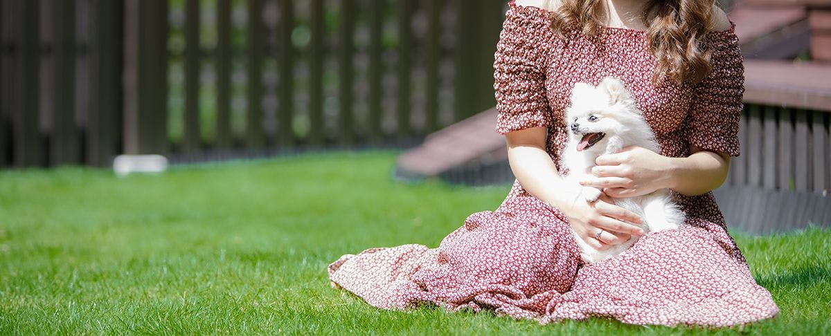 綠草如茵的狗跑區，還可在吊床上小憩（附館Gratis）